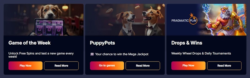 PuppyBet Casino-Boni