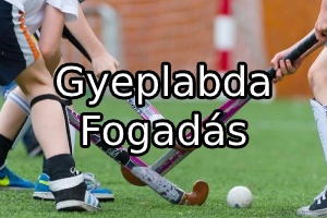 Gyeplabda fogadási piacok